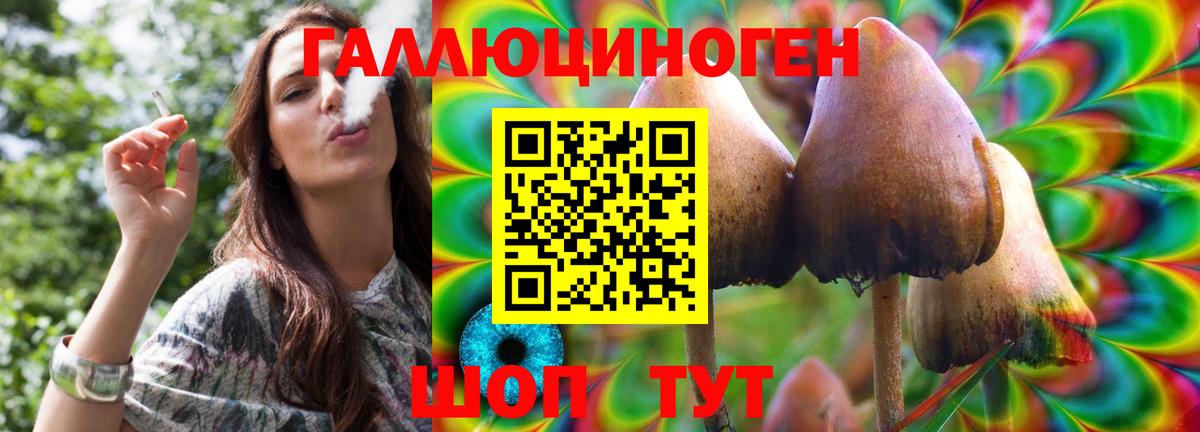 Псилоцибиновые грибы Psilocybine cubensis  Галлюциногенные грибы мицелий  Майский  дарнет шоп  Вход с VPN 